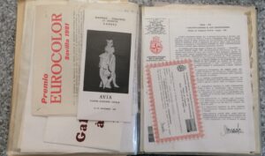 AVIA_ALBUM_13